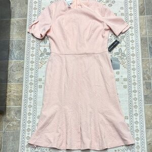 Donna Morgan Blush Midi Dress